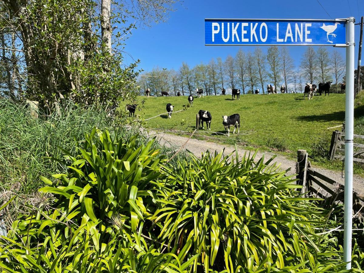 タウランガPukeko Laneアパートメント エクステリア 写真